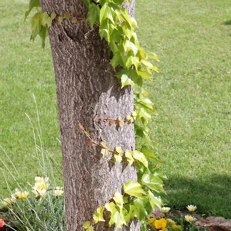 And With Parking Space Krk - 3231 Gæstehus Vrh (Krk)